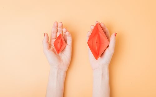 Aufklärung 2.0: Die Vielfalt der Vulven (Teil 1)