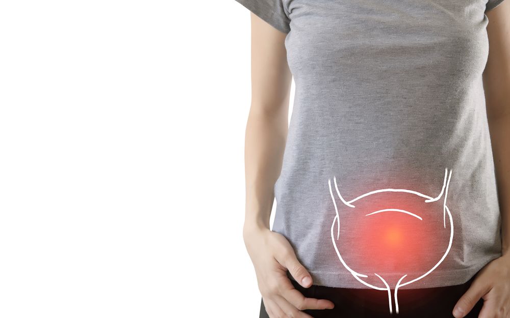 Harnwegsinfekte: Alles was Sie wissen müssen