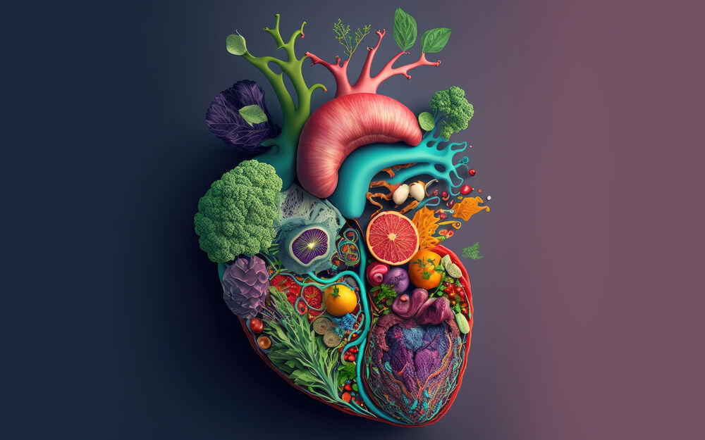 Erhöhte Blutfettwerte früh erkennen und gezielt behandeln