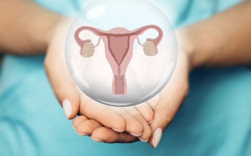 Uterusfehlbildungen: Alles was Sie wissen müssen