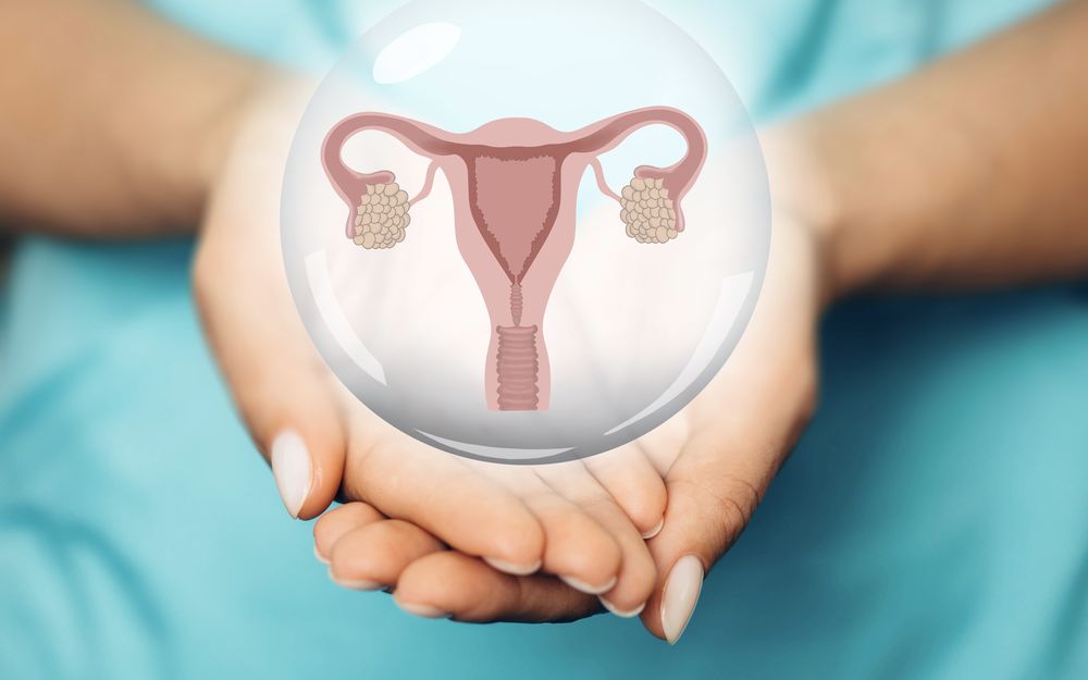 Uterusfehlbildungen: Alles was Sie wissen müssen