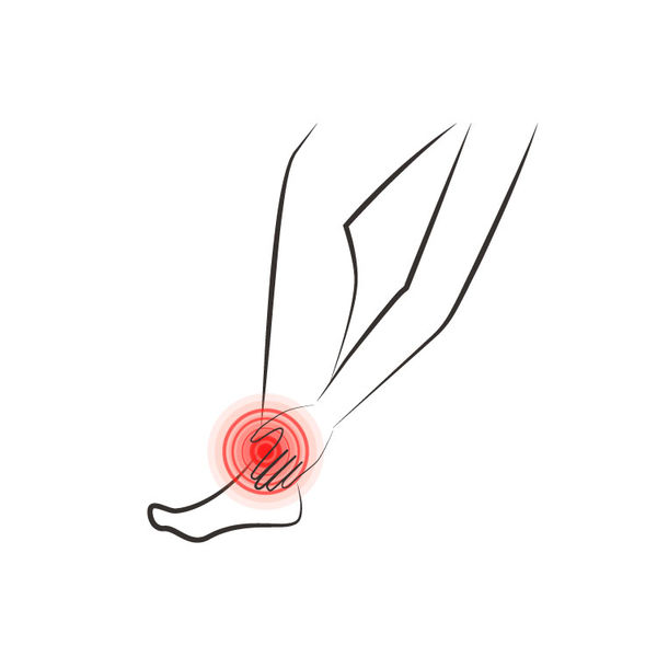 Sprunggelenk &amp; Fuß